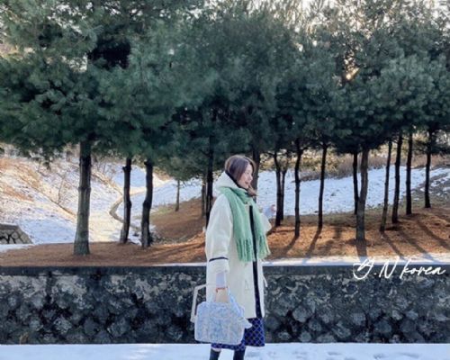 【春款】韓國品牌質感大容量外出推車行李媽媽包