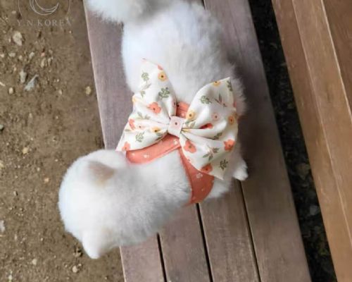 配色愛心動物套裝