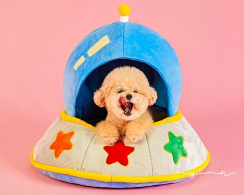 正韓ufo造型寵物睡窩