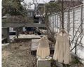 夏裝棉麻背心洋裝包屁衣